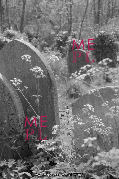 : Highgate Cemetery : Highgate Cemetery