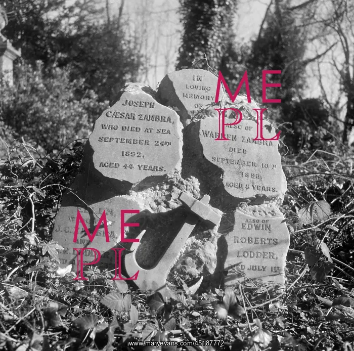 : Highgate Cemetery : Highgate Cemetery