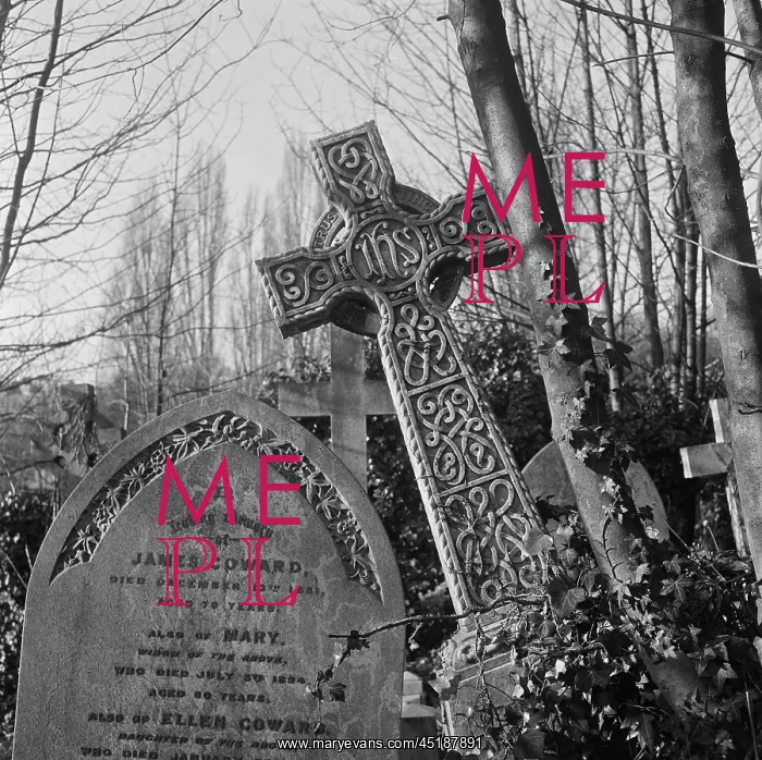 : Highgate Cemetery : Highgate Cemetery