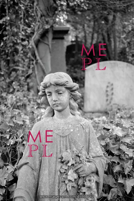: Highgate Cemetery : Highgate Cemetery