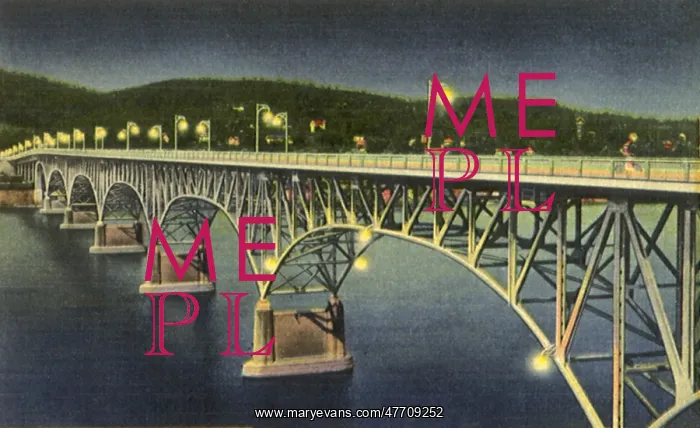  : Highland Park Bridge. Pittsburgh