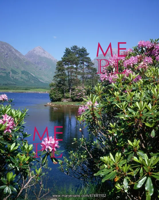 : Highland scene ' Lochan in Glen Etive : Highland scene ' Lochan in Glen Etive