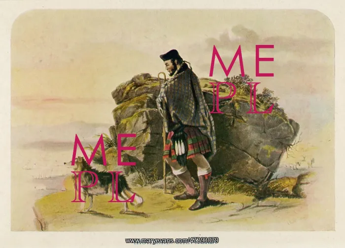  : A HIGHLAND SHEPHERD