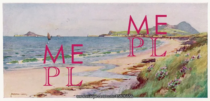  : HILL OF HOWTH / DUBLIN