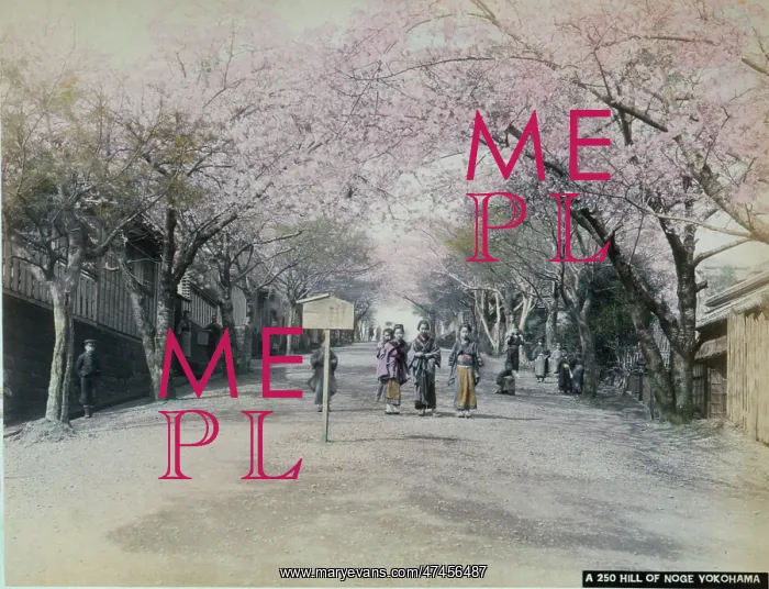 : Hill of Noge, Yokohama : Hill of Noge, Yokohama
