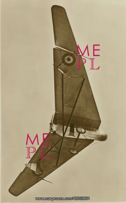 : Hill Pterodactyl I J8067 : Hill Pterodactyl I J8067