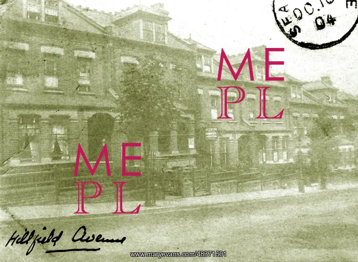 : Hillfield Avenue