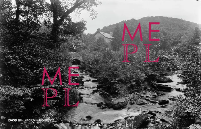 : Hillsford Stream : Hillsford Stream