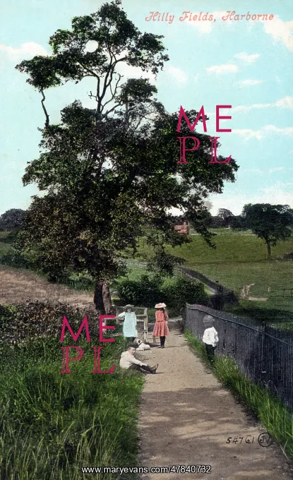  : Hilly Fields, Harborne, south-west Birmingham