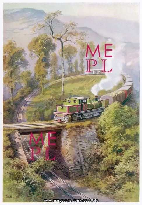 : THE HIMALAYA LINE : THE HIMALAYA LINE
