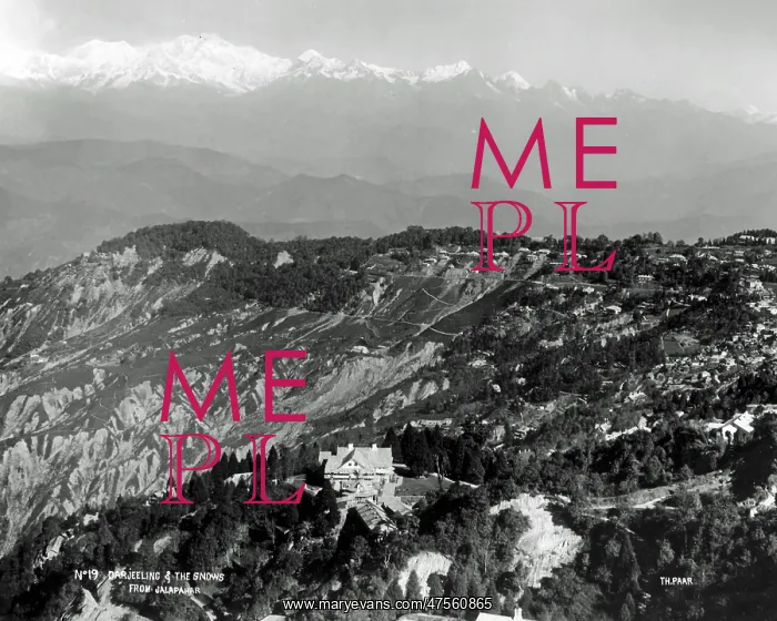: Himalayas from Darjeeling, India : Himalayas from Darjeeling, India