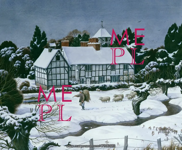 : Himbleton, Worcestershire in the Snow : Himbleton, Worcestershire in the Snow