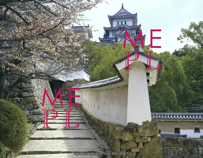 : Himeji Castle : Himeji Castle