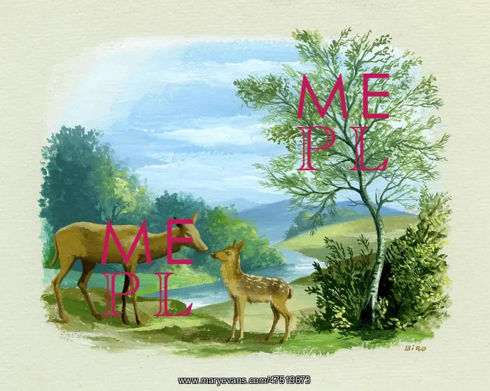 : Hind and Fawn beside a river : Hind and Fawn beside a river