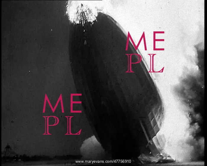 : The Hindenburg Disaster : The Hindenburg Disaster