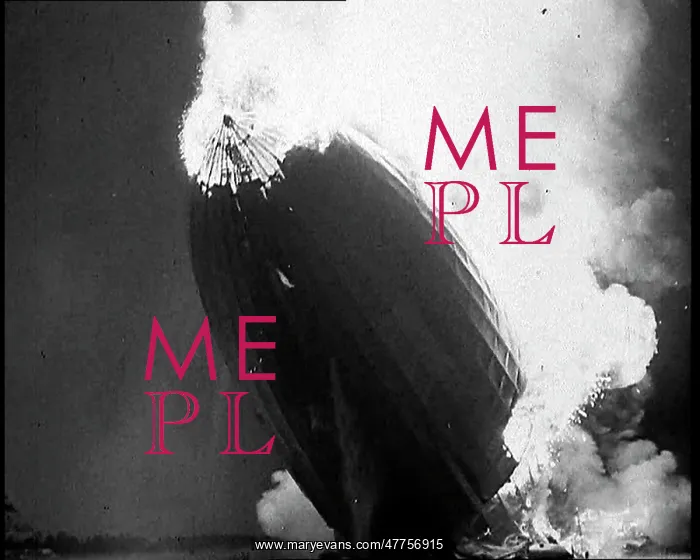 : The Hindenburg Disaster : The Hindenburg Disaster