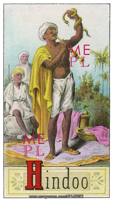  : Hindu Snake Charmer