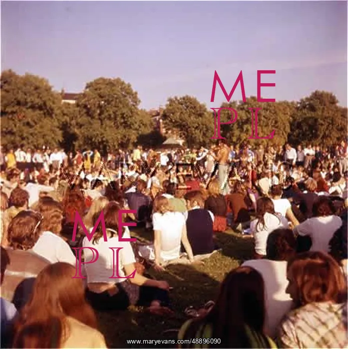 : HIPPIES 1960S : HIPPIES 1960S
