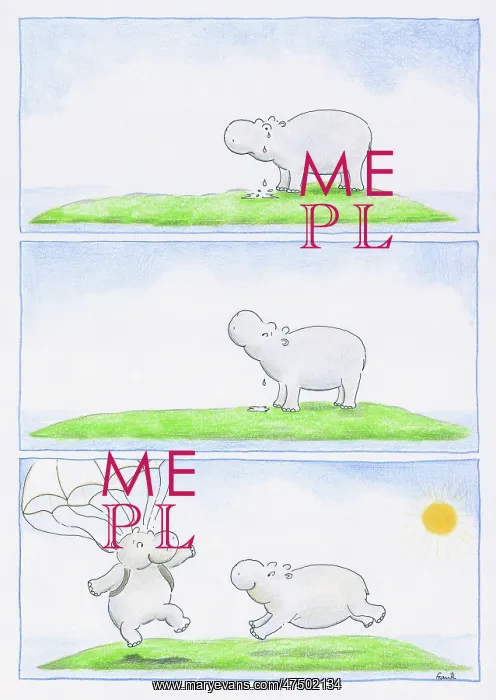 : The Hippo from the Sky : The Hippo from the Sky
