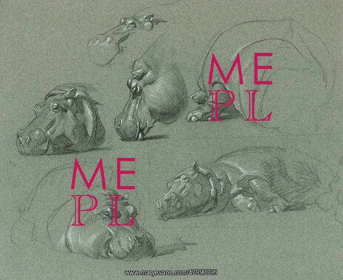 : Hippo Studies : Hippo Studies