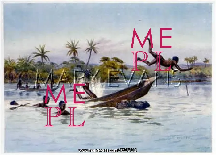 : HIPPO TIPS BOAT : HIPPO TIPS BOAT