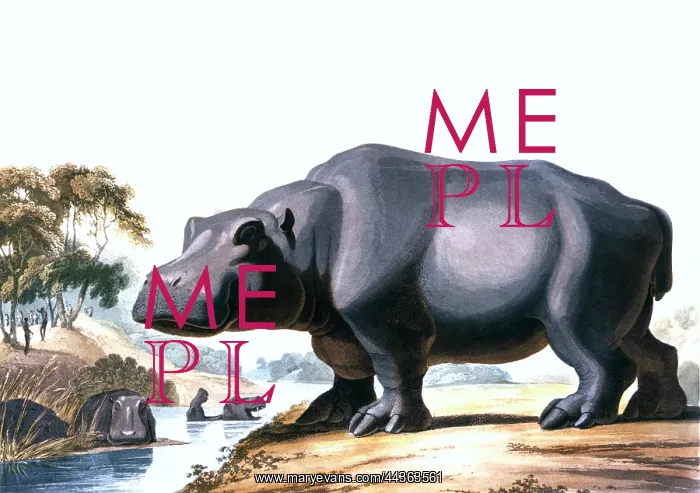 : The Hippopotamus, 1831 : The Hippopotamus, 1831