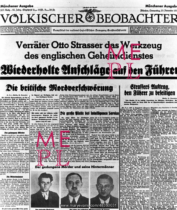 : The hired tool Georg Elser, 1939 : The hired tool Georg Elser, 1939