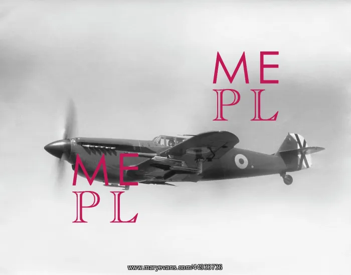 : Hispano HA-1112 M1L Buchon : Hispano HA-1112 M1L Buchon