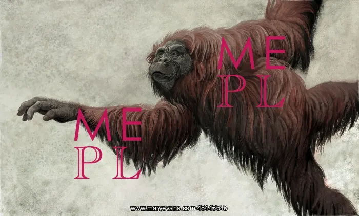: Hispanopithecus laietanus from the Spanish Miocene epoch : Hispanopithecus laietanus from the Spanish Miocene epoch
