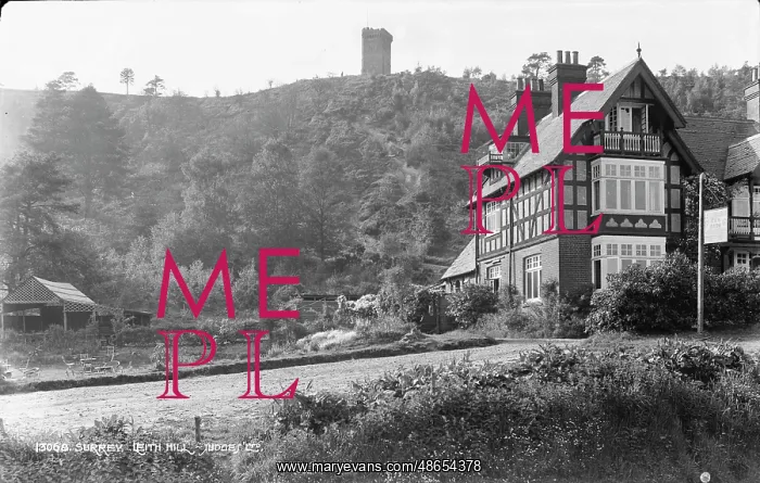 : Historic House at Leith Hill : Historic House at Leith Hill