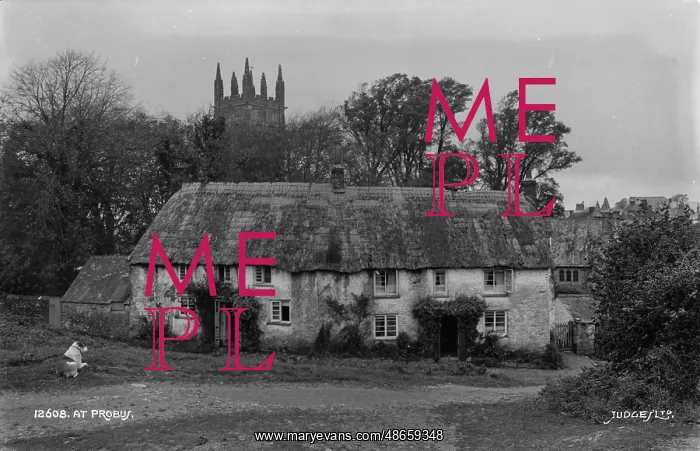 : Historic Thatched Cottage in Probus : Historic Thatched Cottage in Probus
