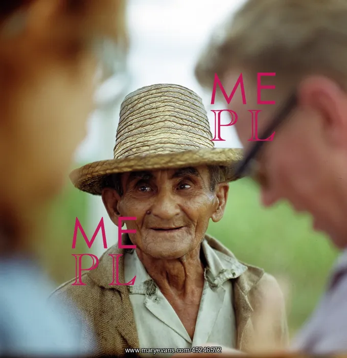: Historical Cuba - Sugar cane harvest : Historical Cuba - Sugar cane harvest