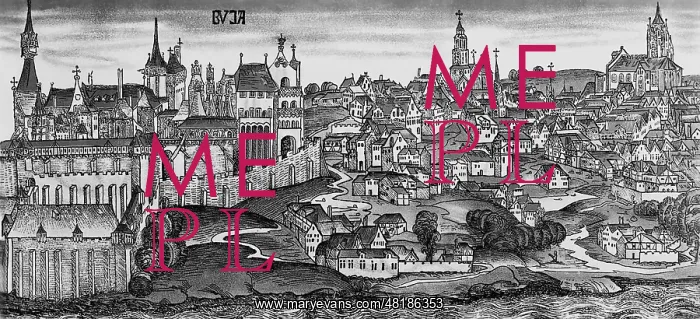 : Buda. Historical representation of the Buda Castle : Buda. Historical representation of the Buda Castle