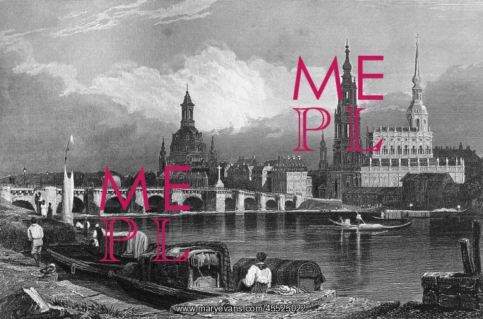 : Historical View of Dresden on the Elbe c.1850 : Historical View of Dresden on the Elbe c.1850