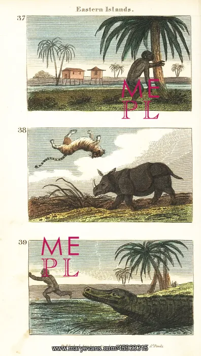 : Historical views of the Eastern Islands (Indonesia) : Historical views of the Eastern Islands (Indonesia)