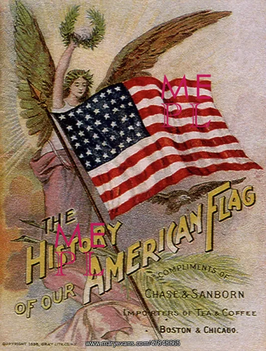 : History of the American Flag : History of the American Flag
