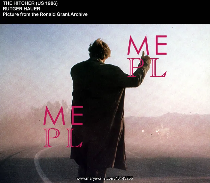 : THE HITCHER : THE HITCHER