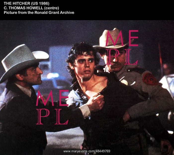 : THE HITCHER : THE HITCHER
