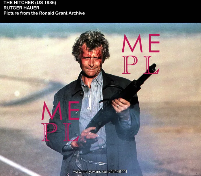 : THE HITCHER : THE HITCHER