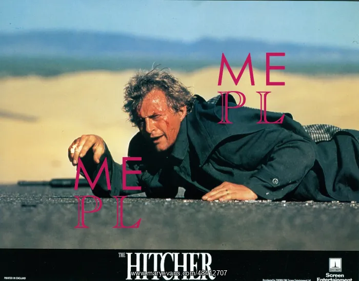 : The Hitcher film (1986) : The Hitcher film (1986)