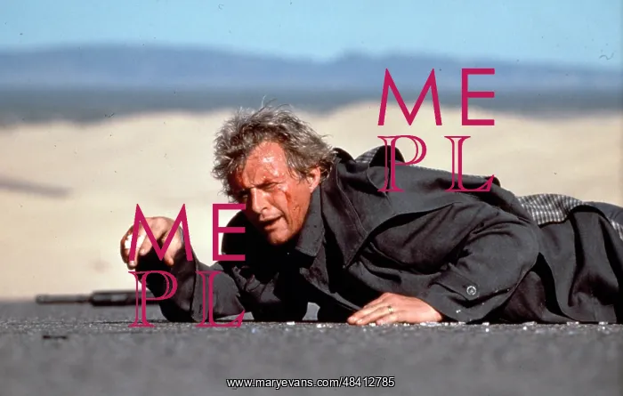 : The Hitcher film (1986) : The Hitcher film (1986)