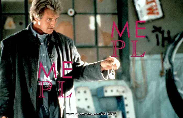 : The Hitcher film (1986) : The Hitcher film (1986)