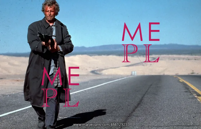 : The Hitcher film (1986) : The Hitcher film (1986)