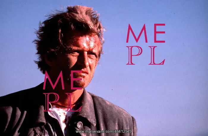 : The Hitcher film (1986) : The Hitcher film (1986)