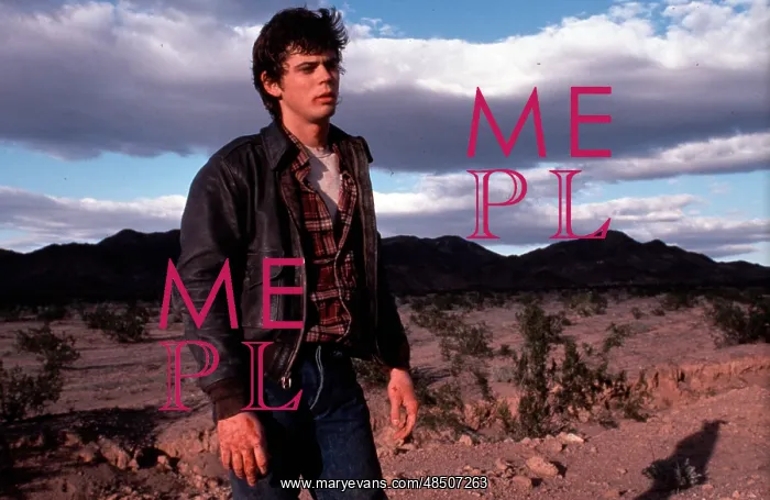: The Hitcher film (1986) : The Hitcher film (1986)