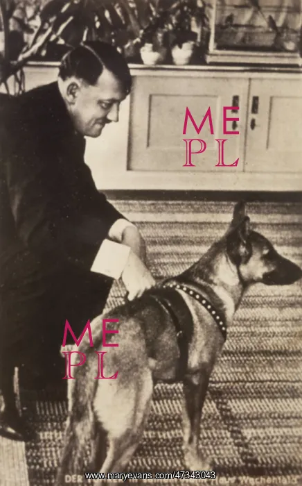 : HITLER AND BLONDIE - 2 : HITLER AND BLONDIE - 2