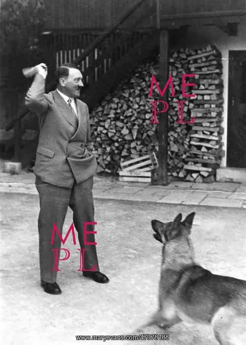 : Hitler and His Dog Blondi : Hitler and His Dog Blondi