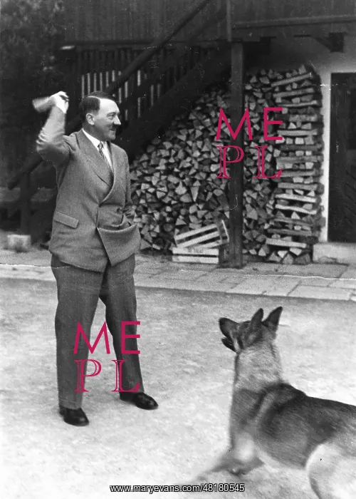 : Hitler and His Dog Blondi : Hitler and His Dog Blondi