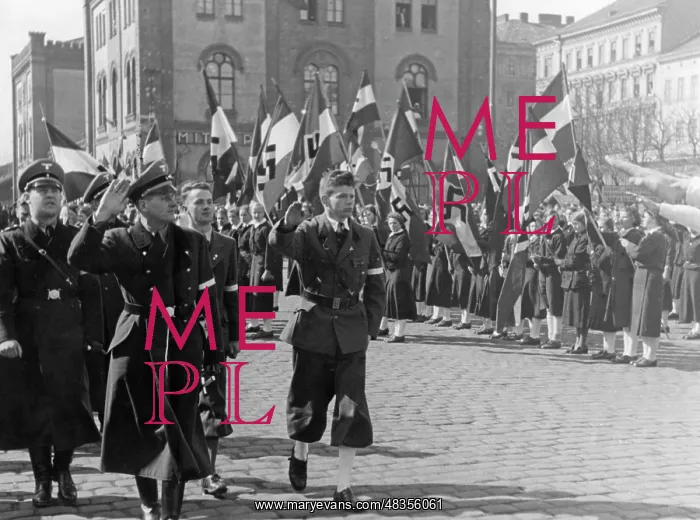 : Hitler Youth in Austria, 1938 : Hitler Youth in Austria, 1938