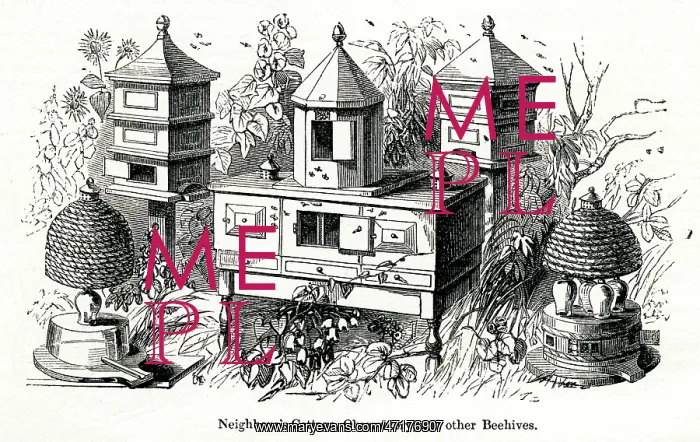 : Hives at Great Exhibition 1851 : Hives at Great Exhibition 1851